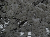 March Snow 2010