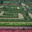 GARDEN11