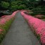 GARDEN74